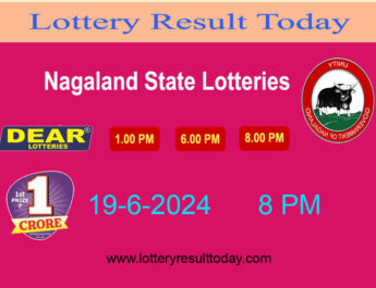 Nagaland Lottery Sambad 8 PM 19.6.2024 Result (Dear Pelican 8pm)