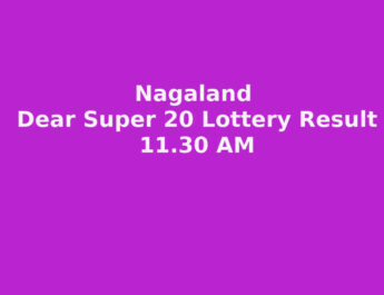 Nagaland Dear Super 20 Result