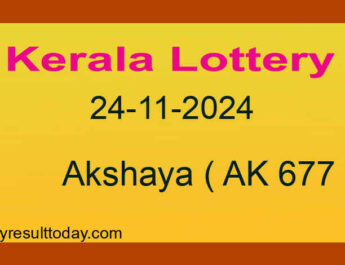 Kerala Lottery Result 24.11.2024 Akshaya AK 677