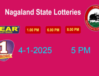 Nagaland Dear 100 Saturday Lottery Result 4.1.2025 (5 PM) Out