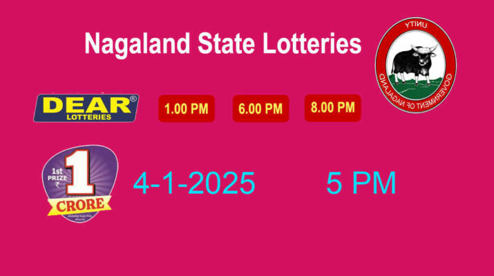 Nagaland Dear 100 Saturday Lottery Result 4.1.2025 (5 PM) Out