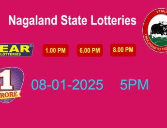 Nagaland Dear 50 Wednesday Lottery Result 08.01.2025 (5PM)