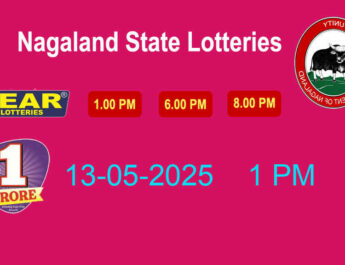Nagaland Lottery Sambad 1 PM,6 PM,8 PM Result 13-05-2025