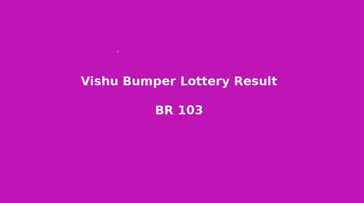 Vishu Bumper Lottery