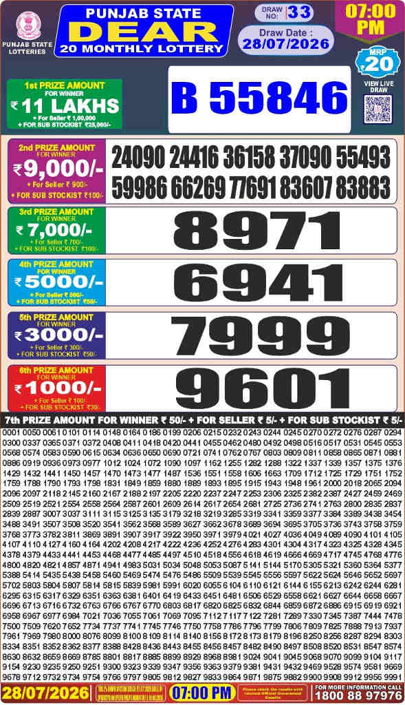 Punjab Dear 20 Monthly Lottery Result 28.07.2026